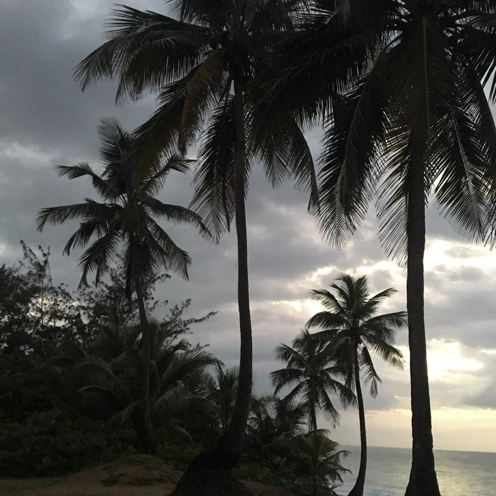 Meet your Posher, Miss